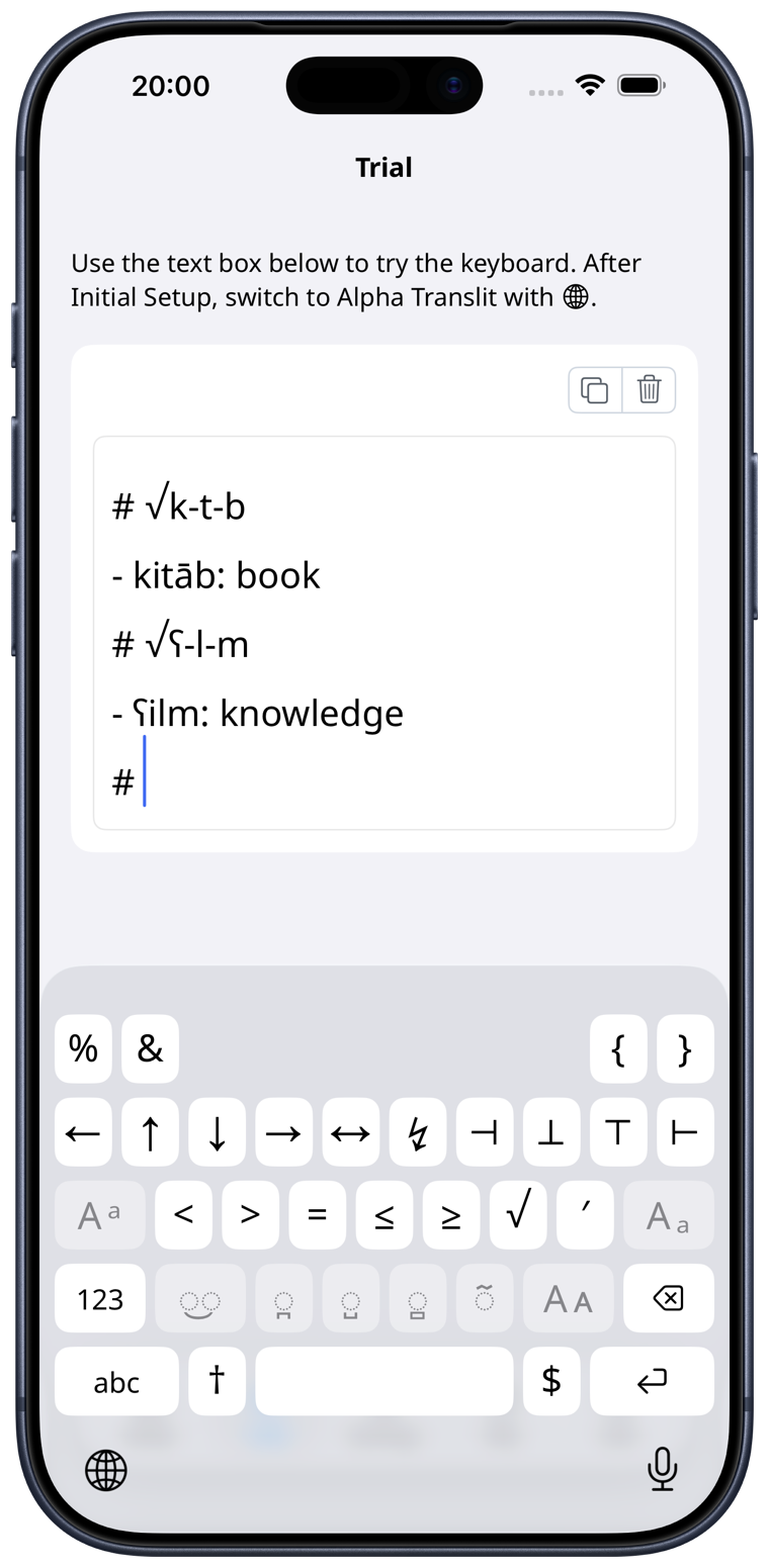 Alpha Translit app input screen (iPhone, Supplementary Symbols layout)