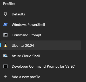 Windows Terminal; Profiles